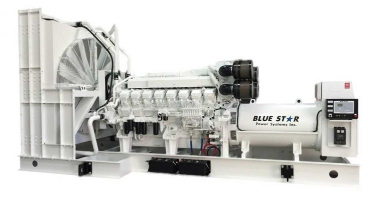 BLUE STAR Power Systems 1000KW Generador diésel Tanque de 12 horas | MD1000-01