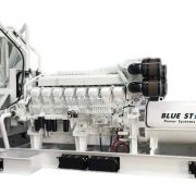 BLUE STAR Power Systems 250KW Diesel Generator 24 Hour Tank | VD250-01