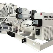 BLUE STAR Power Systems 300KW Diesel Generator 48 Hour Tank | VD300-01