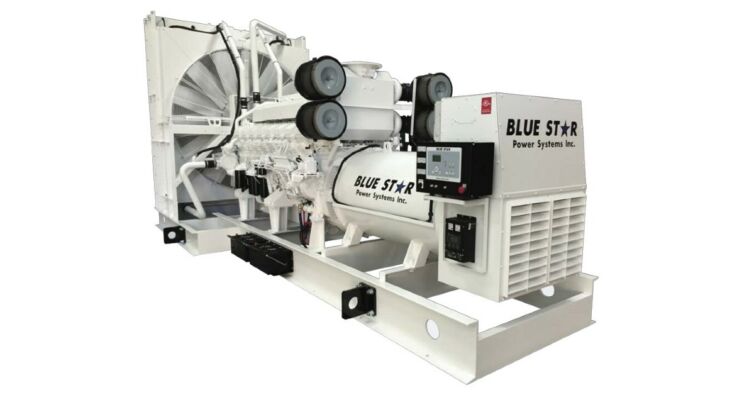 BLUE STAR Power Systems 300KW Diesel Generator 48 Hour Tank | VD300-01