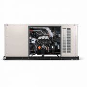 Generac XG08045ANAX Protector Series (80kW)