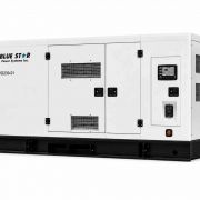 Blue Star VD230-01 (230kWe)